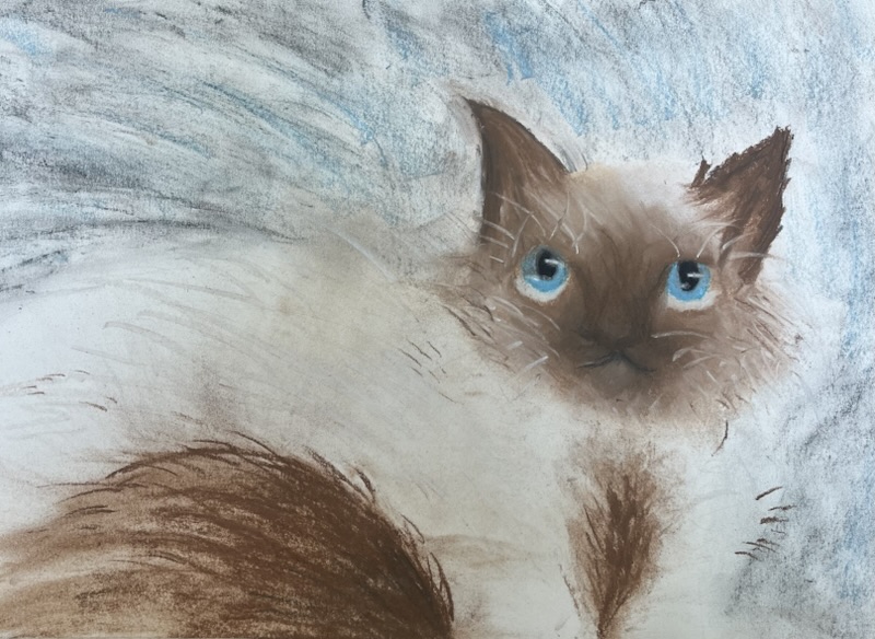 😸The Aristocats😻