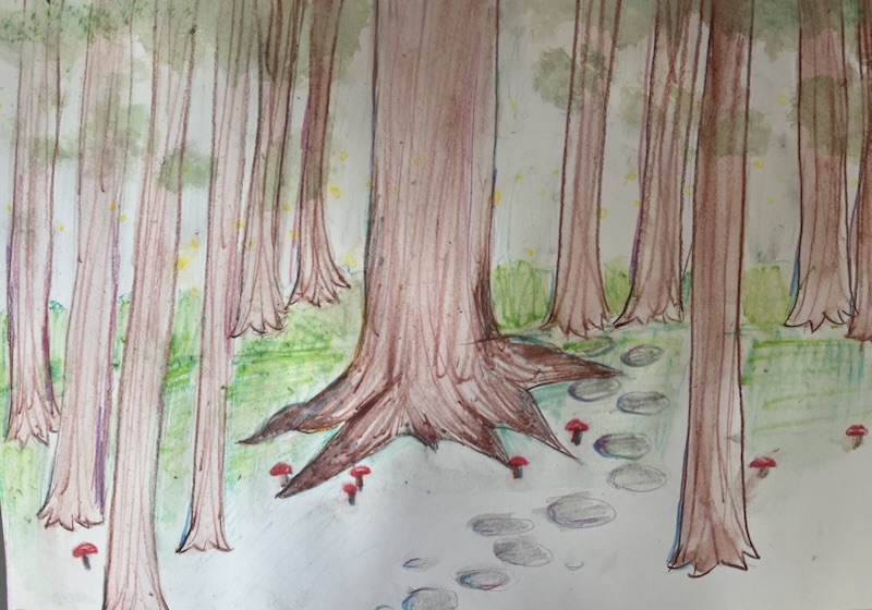 🌳International Day of the Forest🌲