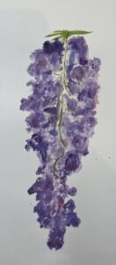Wonderful Wisteria