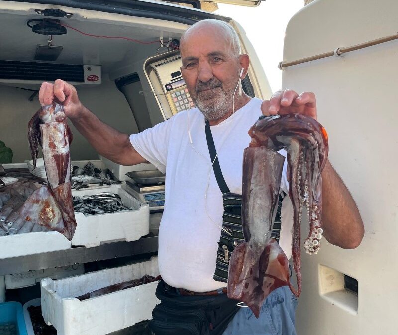 🇮🇹Day 16 Come and meet Cosimo 🐟