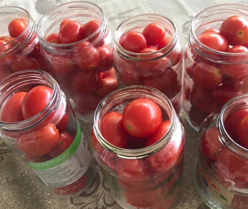 🇮🇹Day 22 Pomodori Prep 🍅