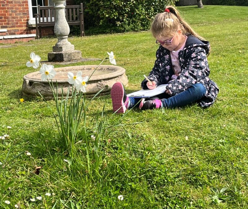 Outdoor lessons 🌞