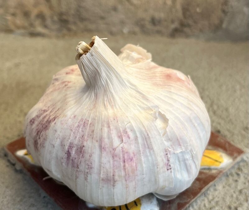 🇮🇹Day 14 The garlic that made you cry🧄