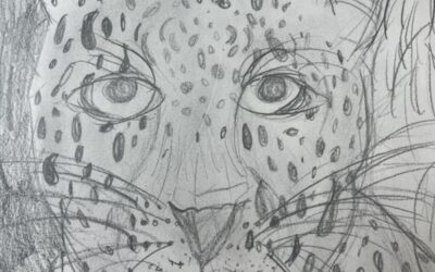 🐯 Tiger, Tiger🐅