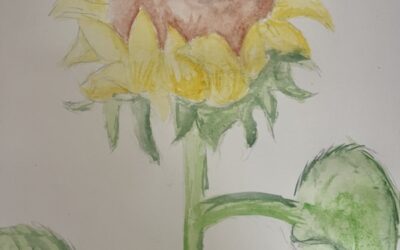 🌻 Sunny Sunflowers 🌞