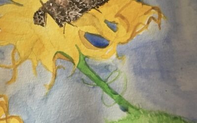 👏Our Amazing Senior Students 👏