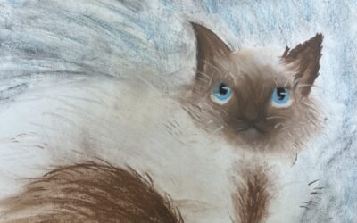 😸The Aristocats😻