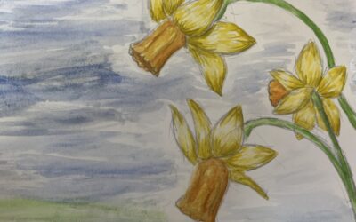 🌼A Host of Golden Daffodils🌼