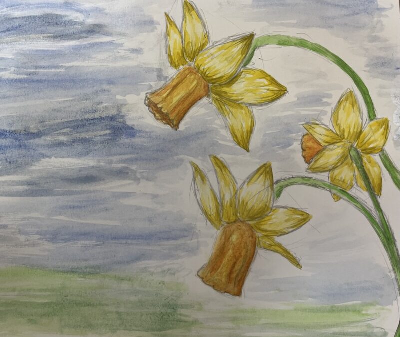 🌼A Host of Golden Daffodils🌼