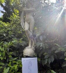 🤭The Lady in the Sensory Garden🙈