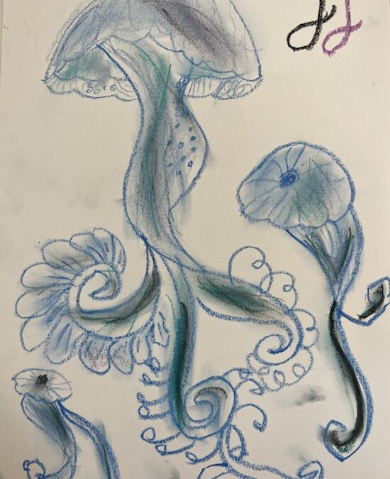 🪼Jumping Jellyfish 🪼