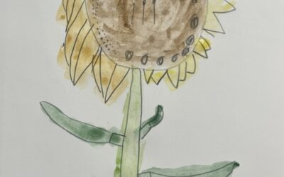 🌻Sunny Sunflowers 🌻