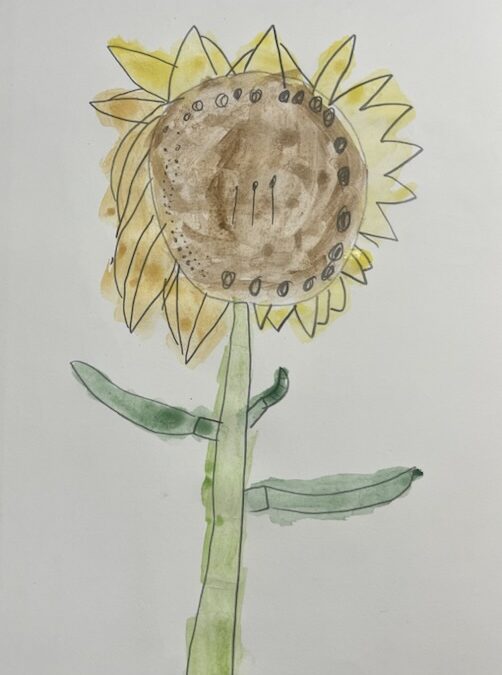 🌻Sunny Sunflowers 🌻